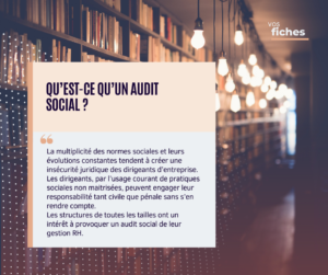 Audit social