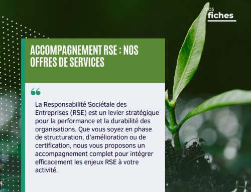 Accompagnement RSE : Nos Offres de Services