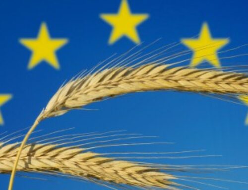 Exploitants agricoles : plus que quelques jours pour déposer votre déclaration Pac