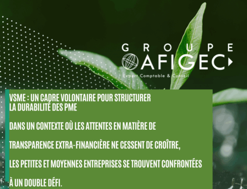 Le VSME : un cadre volontaire pour structurer la durabilité des PME 