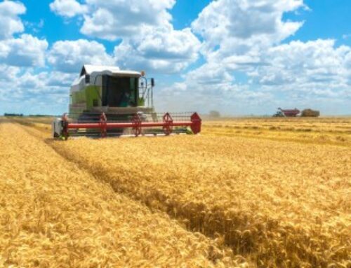 Exploitants agricoles : le calendrier de versement des aides Pac 2025