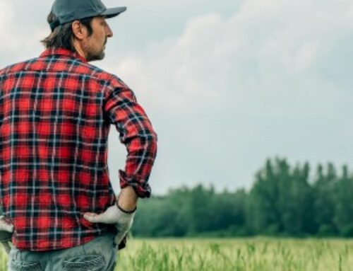 Exploitants agricoles : le dispositif des prêts de consolidation est opérationnel