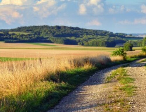 Les prix des terres agricoles ont encore augmenté en 2024 !