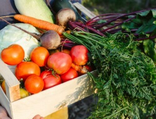 Exercice d’une activité commerciale accessoire par une société agricole : du nouveau !