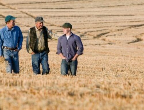 Reprise de terres agricoles données à bail par une société familiale