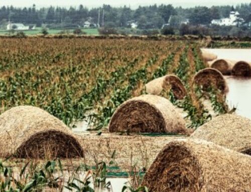 Déduction pour épargne de précaution : quelles conditions pour l’exonération fiscale ?