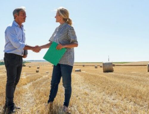 Un bail rural consenti par un seul des époux est-il toujours nul ?