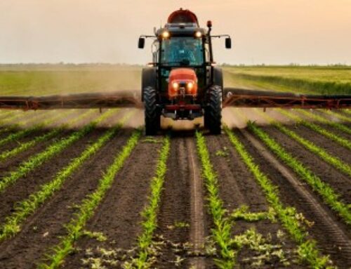 Environnement : responsabilité de l’État pour préjudice écologique