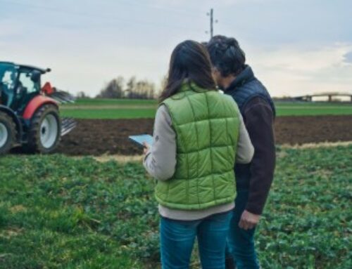 Rétrocession de parcelles agricoles par la Safer : gare à la date de dépôt des candidatures !