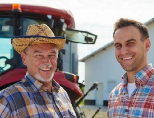 Attribution préférentielle d’une exploitation agricole : au regard de quels critères ?