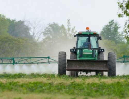 Environnement : délai de prescription de l’action pour préjudice écologique