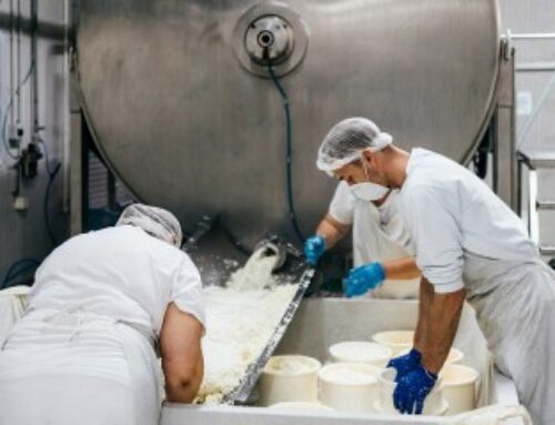 Production laitière : la Chine impose de nouveaux droits de douane sur les produits laitiers