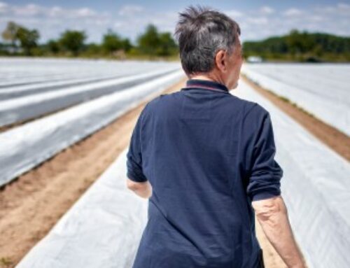 Non-salariés agricoles : vers une meilleure pension de retraite de base ?