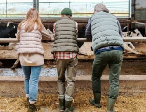 Décès d’un non-salarié agricole : capital décès pour ses ayants droit