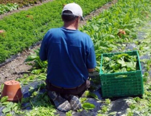 Insertion : expérimentation territoires zéro chômeur de longue durée