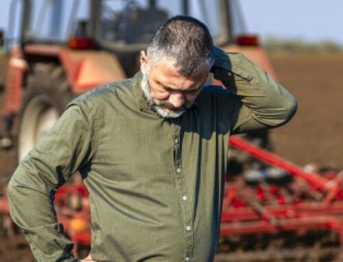 Exploitants agricoles : le dispositif des prêts structurels garantis est prolongé