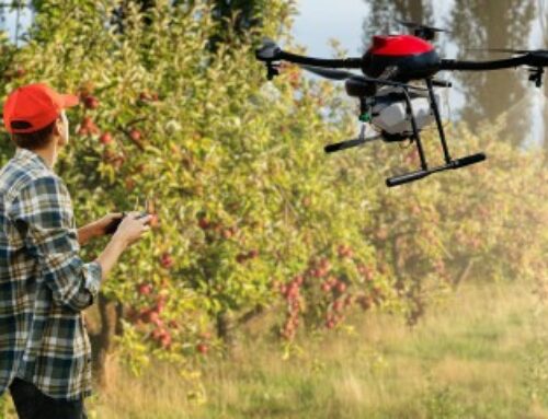 Arboriculture, viticulture : autorisation temporaire des traitements par drone en Occitanie