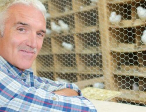 Aviculture : indemnisation des éleveurs impactés par la grippe aviaire 2025-2026