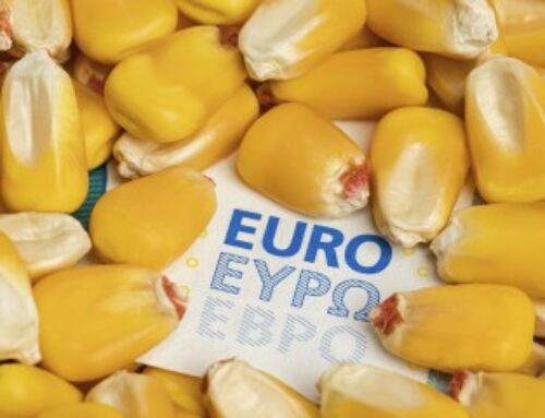 Exploitants agricoles : plus que quelques semaines pour déposer votre déclaration Pac