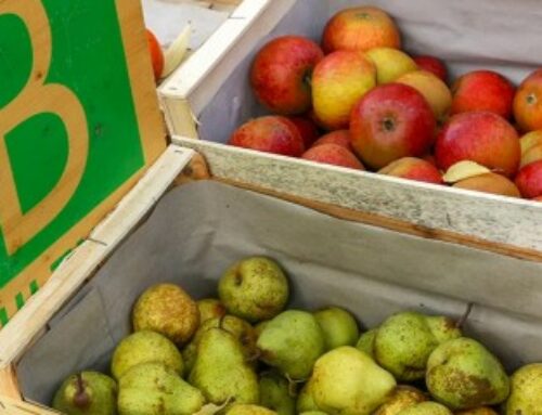 Prorogation de deux crédits d’impôt dédiés aux agriculteurs