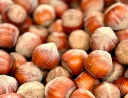 Production de noisettes : une aide pour compenser les pertes économiques
