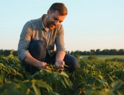 Exploitants agricoles : renforcement de la déduction pour épargne de précaution
