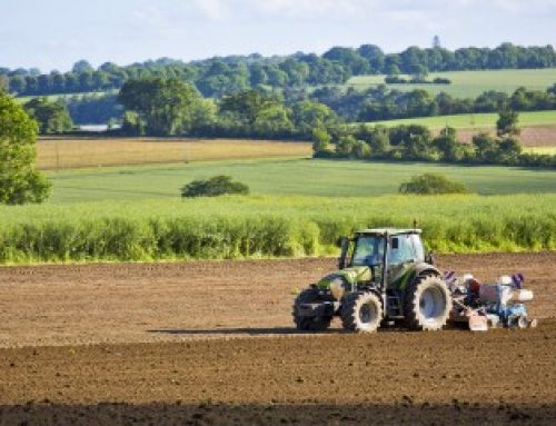 Les prix des terres agricoles à la hausse en 2025