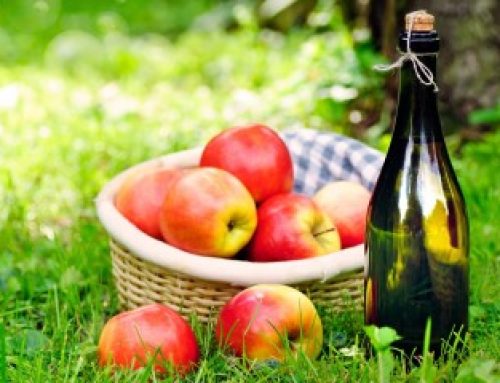 Arboriculture : aide à la plantation de pommiers à cidre