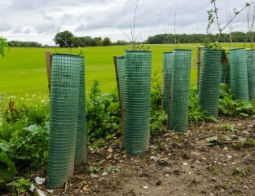 Exploitants agricoles : hausse du montant de plusieurs aides Pac au titre de 2025