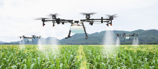 k4_24732506 Quadcopter drones spray crops over a green cornfield, mist rising as they fly low above rows of plants in a rural field with hills in the distance.