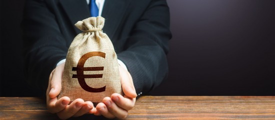 Businessperson's hands present a burlap money bag with a euro symbol over a wooden table under a dark background, conveying finance or payment.