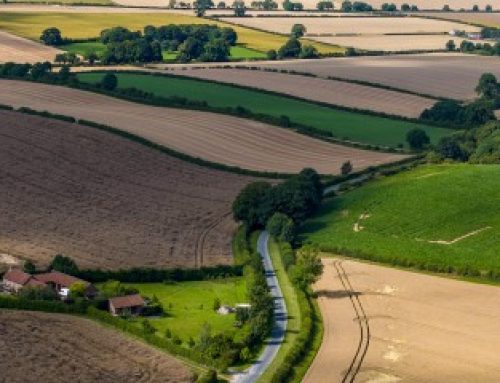 Baux ruraux : forte hausse du montant de l’indice des fermages