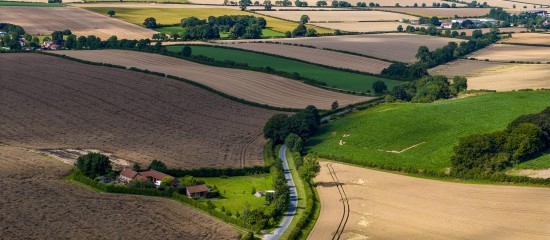 k4_24802014 Aerial view of patchwork farmland with varied fields, hedgerows, and a winding road near a small farmstead.