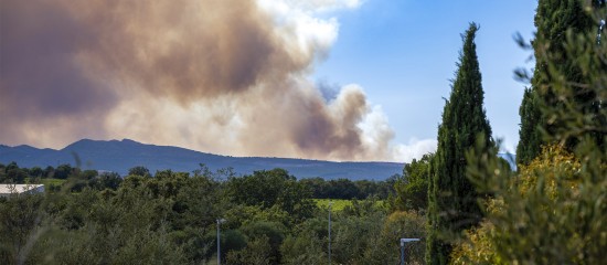 Smoke plume rising over distant hills as a wildfire burns beyond a leafy landscape.