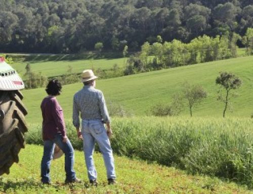 Exploitants agricoles : quel statut juridique pour votre conjoint ?