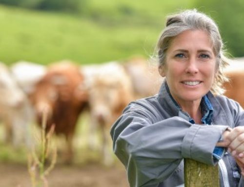 De nouvelles mesures de soutien en faveur des agriculteurs
