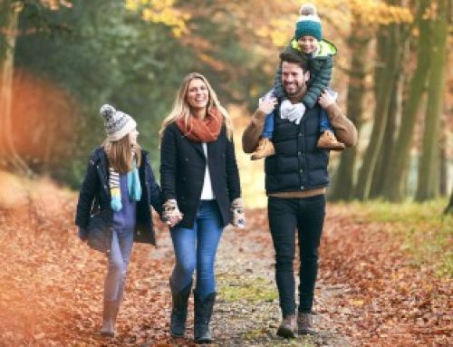 Jours fériés du mois de novembre : comment procéder ?