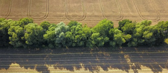 k4_25025088